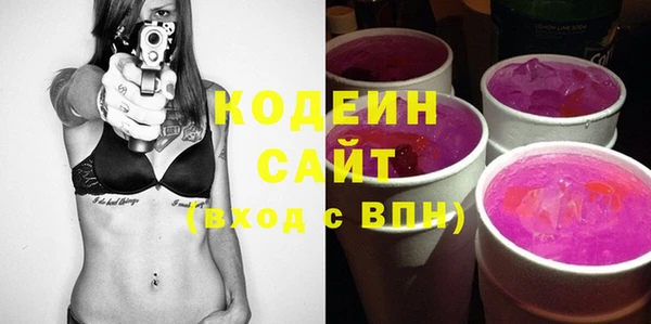 индика Бронницы