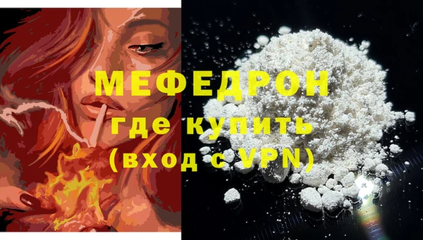 индика Бронницы
