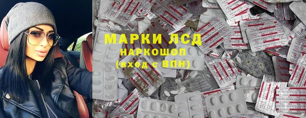индика Бронницы