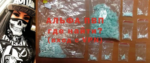 индика Бронницы