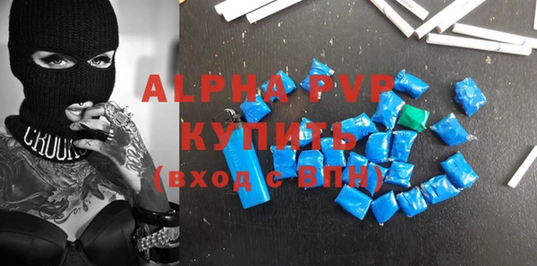 индика Бронницы
