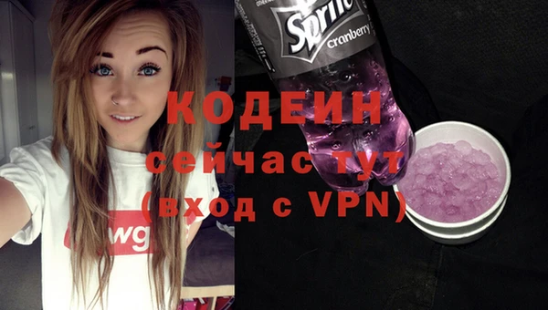 индика Бронницы