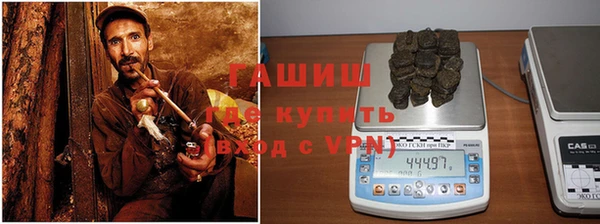 индика Бронницы