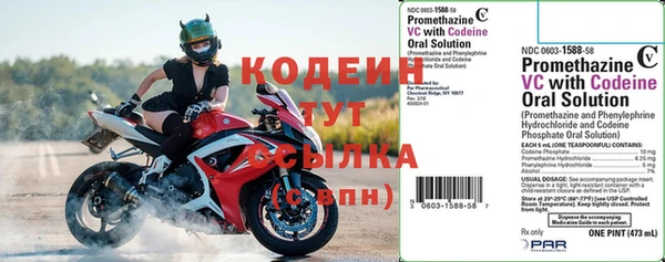 индика Бронницы