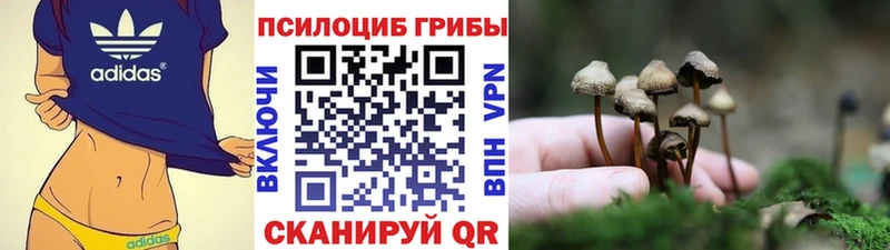Псилоцибиновые грибы MAGIC MUSHROOMS  Череповец 